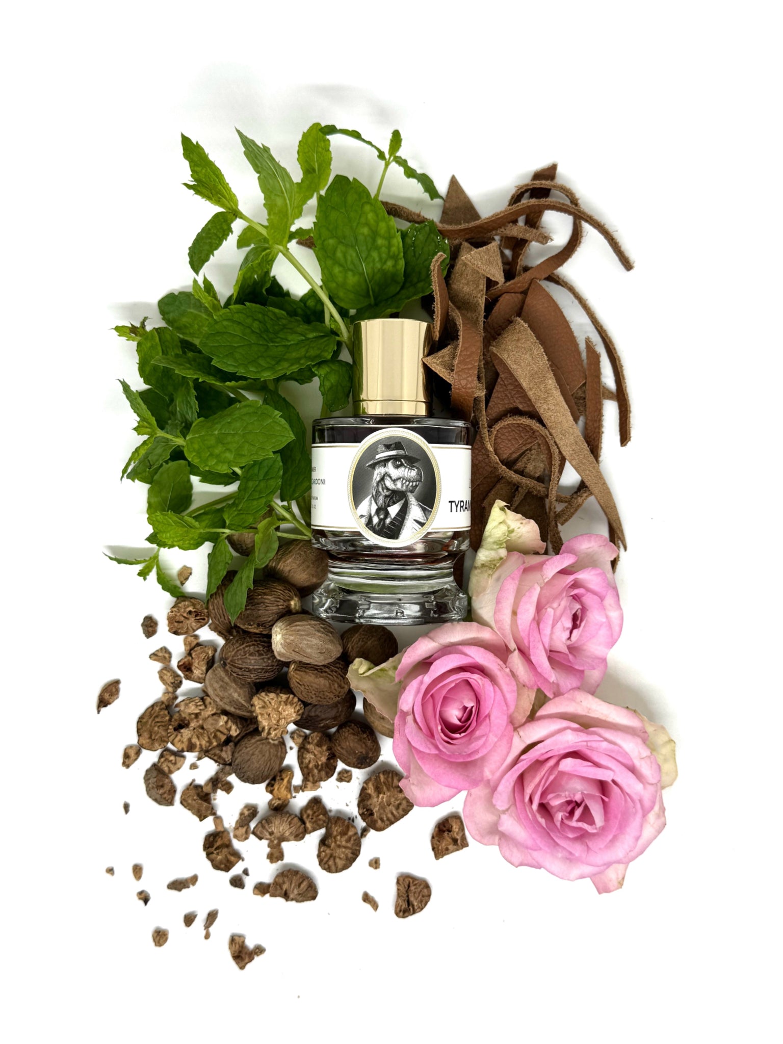 Zoologist Tyrannosaurus Rex (T-rex) - 60ml extrait de parfum – Notes